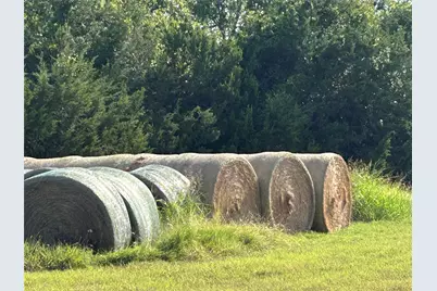 Tbd Fm 219, Clifton, TX 76634 - Photo 8
