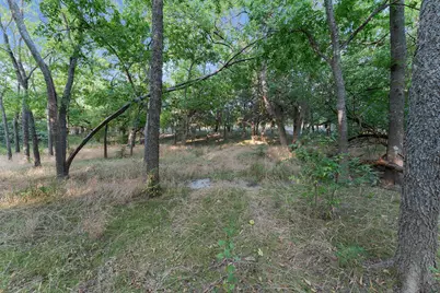 511 Bowden Street, Anna, TX 75409 - Photo 6