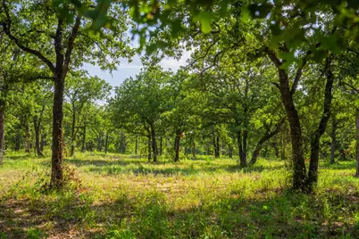 8606 Star Hollow Road, Lipan, TX 76462 - Photo 16