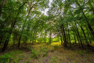8606 Star Hollow Road, Lipan, TX 76462 - Photo 26