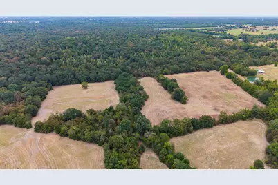 14372 Farm Road 269 S, Pickton, TX 75471 - Photo 26