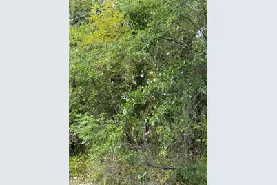 132 Chapperall Drive, Mabank, TX 75156 - Photo 4