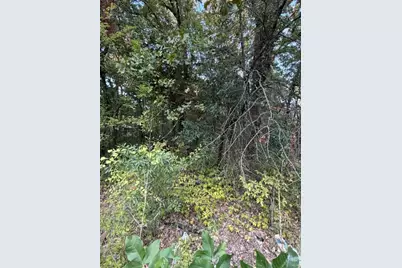 132 Chapperall Drive, Mabank, TX 75156 - Photo 6