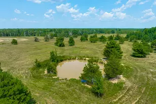 1521 Co Rd 3117, Clarksville, TX 75426 - Photo 32