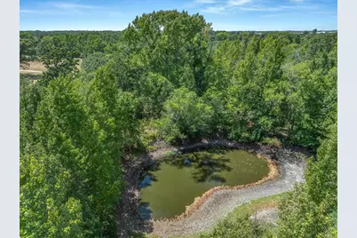 1779 Callender Lake Drive, Ben Wheeler, TX 75778 - Photo 22