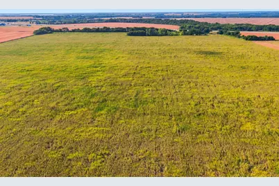 8424 W Ennis Avenue, Ennis, TX 75119 - Photo 6