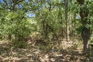 374 Clark Lake Rd, Weatherford, TX 76088 - Photo 34