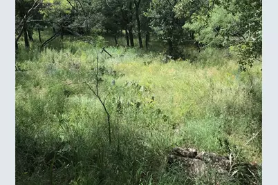 Lot 253 Cote D Azur Drive, Chico, TX 76431 - Photo 6