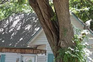 107 W Travis St, Leonard, TX 75452 - Photo 4