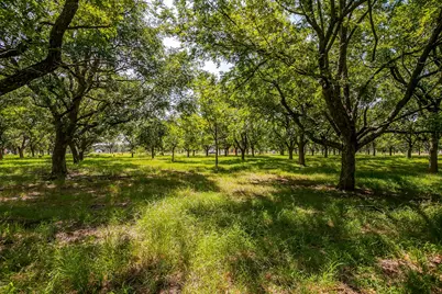 2525 Buckskin Drive, Granbury, TX 76049 - Photo 16