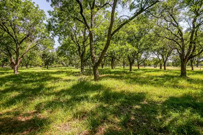 2525 Buckskin Drive, Granbury, TX 76049 - Photo 14