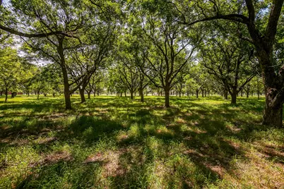 2525 Buckskin Drive, Granbury, TX 76049 - Photo 2
