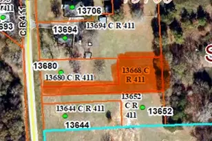 13668 County Rd 411, Tyler, TX 75706 - Photo 1