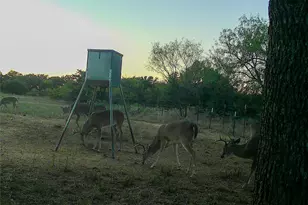2417 Hwy 569 Hwy S, Cisco, TX 76437 - Photo 18