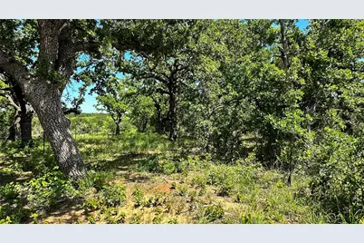 2417 Hwy 569 Highway S #1, Cisco, TX 76437 - Photo 22