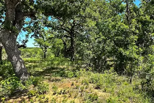2417 Hwy 569 Hwy S, Cisco, TX 76437 - Photo 22