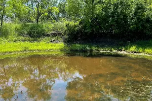 2417 Hwy 569 Hwy S, Cisco, TX 76437 - Photo 32