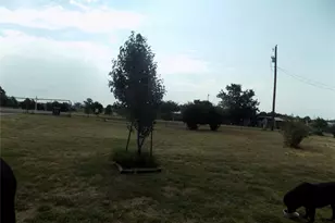 192 Salt Grass Cir, Poolville, TX 76487 - Photo 22
