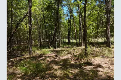 1600 Cr 2765, Honey Grove, TX 75446 - Photo 8