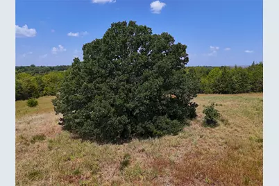 1600 Cr 2765, Honey Grove, TX 75446 - Photo 4