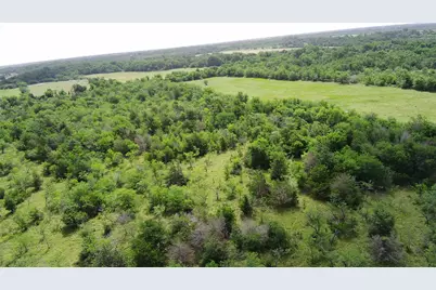 000 Lcr 663, Kosse, TX 76653 - Photo 8