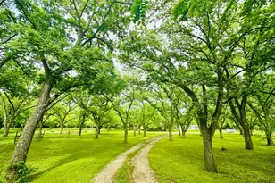 11320 County Rd 528, Mansfield, TX 76063 - Photo 4