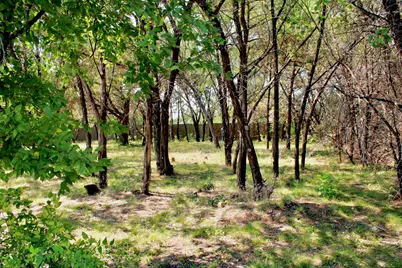 4902 Village Drive, Rio Vista, TX 76093 - Photo 20
