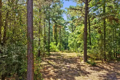 Lot 1 County Road 1240, Pittsburg, TX 75686 - Photo 12