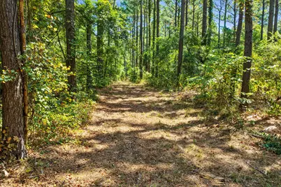 Lot 1 County Road 1240, Pittsburg, TX 75686 - Photo 20