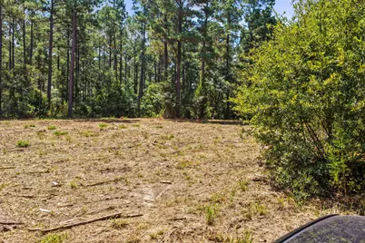 Lot 1 County Road 1240, Pittsburg, TX 75686 - Photo 22
