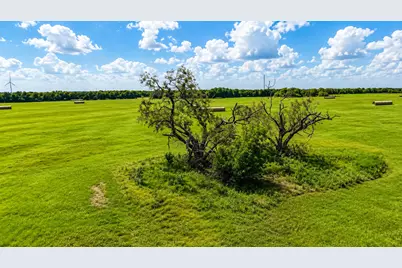0 Hc 3352/3363, Hubbard, TX 76648 - Photo 8