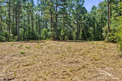 Lot 2 County Road 1240, Pittsburg, TX 75686 - Photo 30