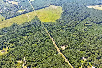 Lot 2 County Road 1240, Pittsburg, TX 75686 - Photo 4