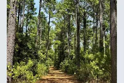 Lot 2 County Road 1240, Pittsburg, TX 75686 - Photo 16