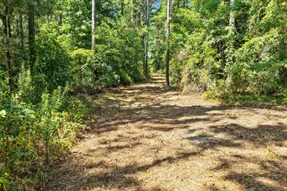 Lot 2 County Road 1240, Pittsburg, TX 75686 - Photo 26