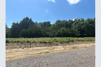 Lot 11 County Road 1110, Farmersville, TX 75442 - Photo 2