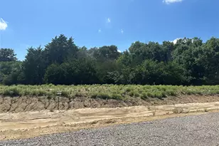 Lot 11 County Road 1110, Farmersville, TX 75442 - Photo 1