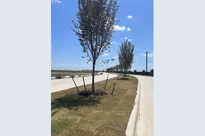 9909 Iron Wood Drive, Ponder, TX 76259 - Photo 20