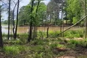 Lot 54 White Oak Creek Ranch, Big Sandy, TX 75755 - Photo 1