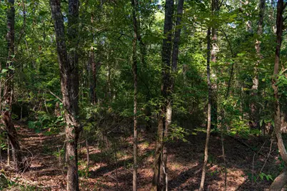 0 County Road 3302, Brownsboro, TX 75756 - Photo 12