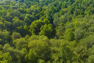0 County Road 3302, Brownsboro, TX 75756 - Photo 24