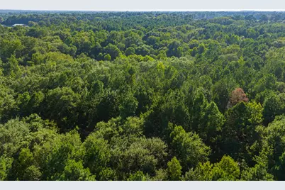 0 County Road 3302, Brownsboro, TX 75756 - Photo 28