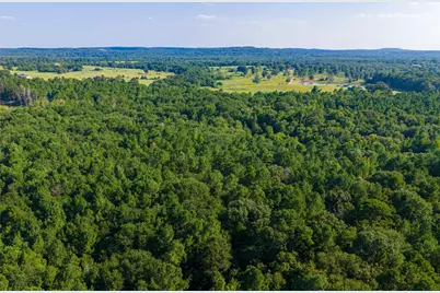 0 County Road 3302, Brownsboro, TX 75756 - Photo 26