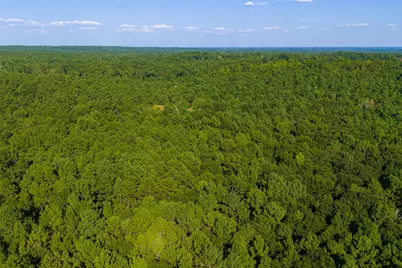 0 County Road 3302, Brownsboro, TX 75756 - Photo 26