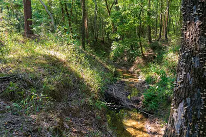 0 County Road 3302, Brownsboro, TX 75756 - Photo 4