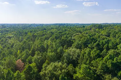 0 County Road 3302, Brownsboro, TX 75756 - Photo 20