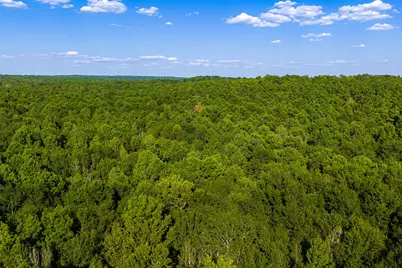 0 County Road 3302, Brownsboro, TX 75756 - Photo 20