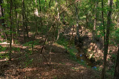 0 County Road 3302, Brownsboro, TX 75756 - Photo 28