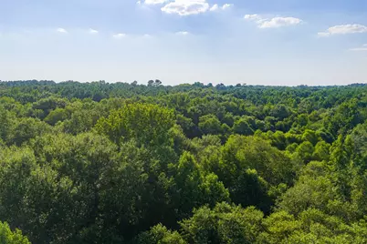 0 County Road 3302, Brownsboro, TX 75756 - Photo 18