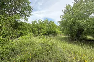 316 Co Rd 458, De Leon, TX 76444 - Photo 4